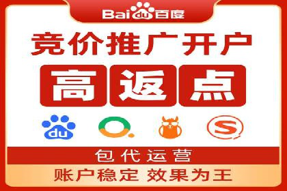 竞价广告赚钱秘籍：百度实战案例